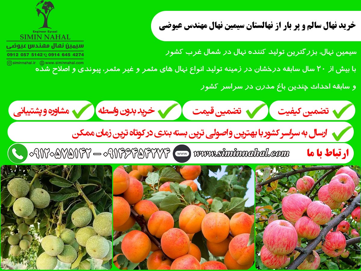 کشاورزی، سرمایه گذاری سبز